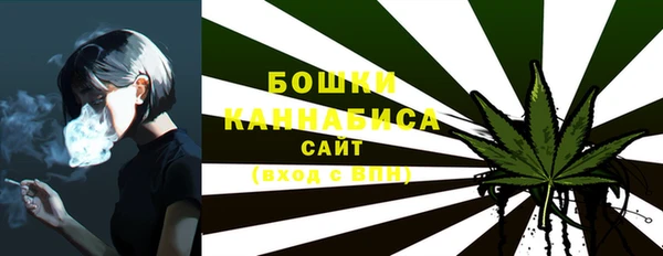 PSILOCYBIN Медногорск