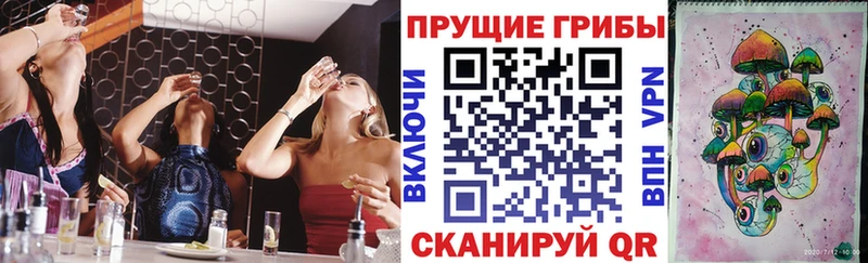Псилоцибиновые грибы мицелий  Фрязино 